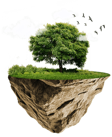 Floating island with tree